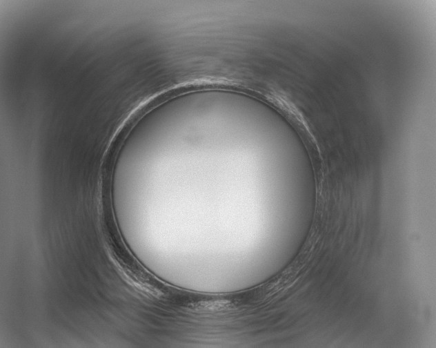 X0000056320108200508260901