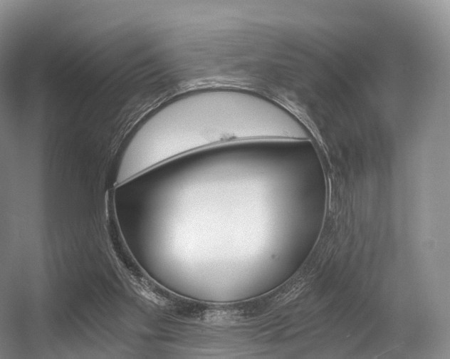 X0000056320109200508260901