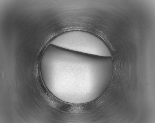 X0000056320110200508260901
