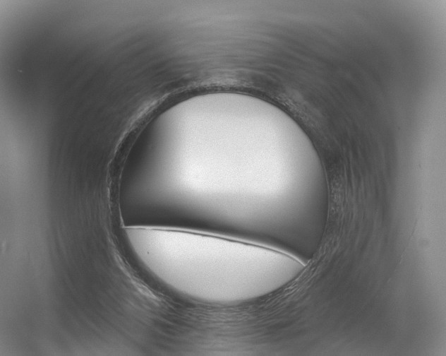 X0000056320112200508260901