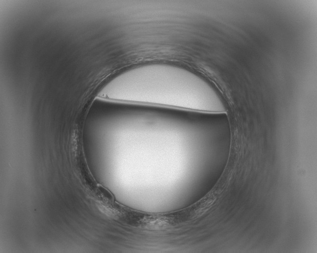 X0000056320113200508260901