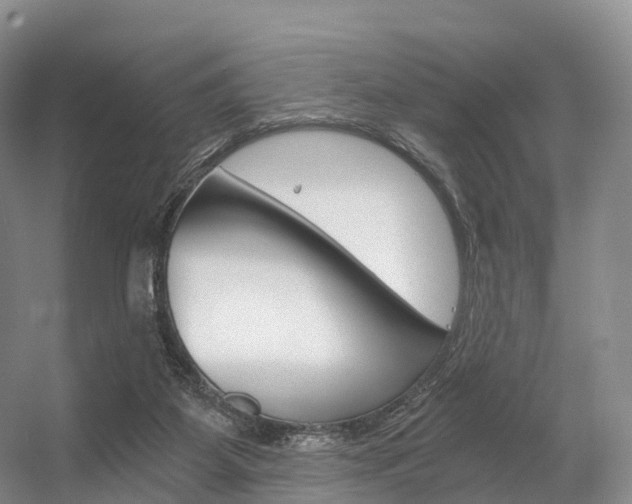 X0000056320115200508260901