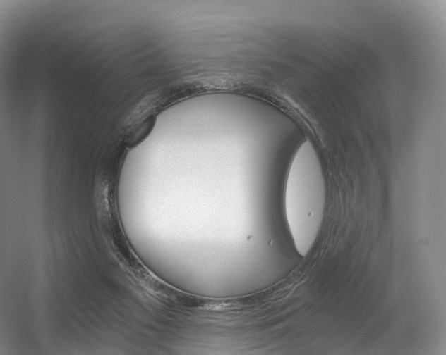 X0000056320117200508260901
