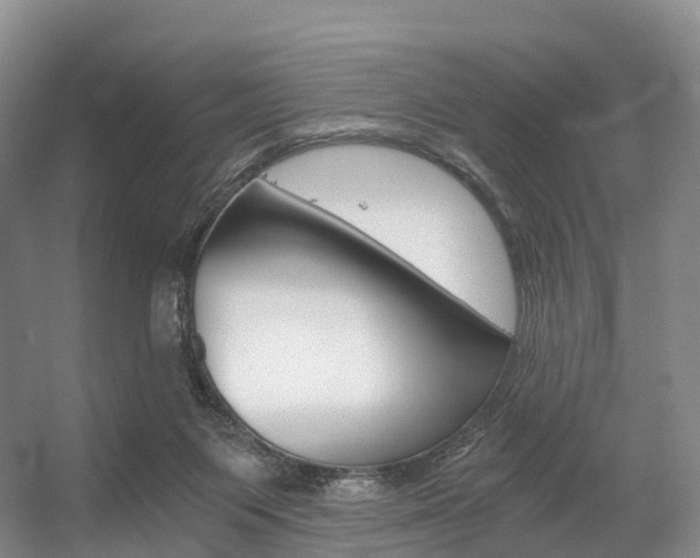 X0000056320119200508260901