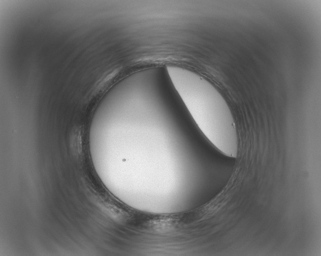 X0000056320120200508260901