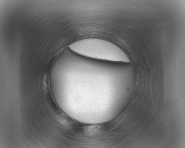 X0000056320122200508260901
