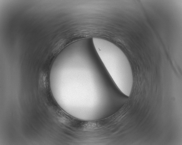 X0000056320123200508260901