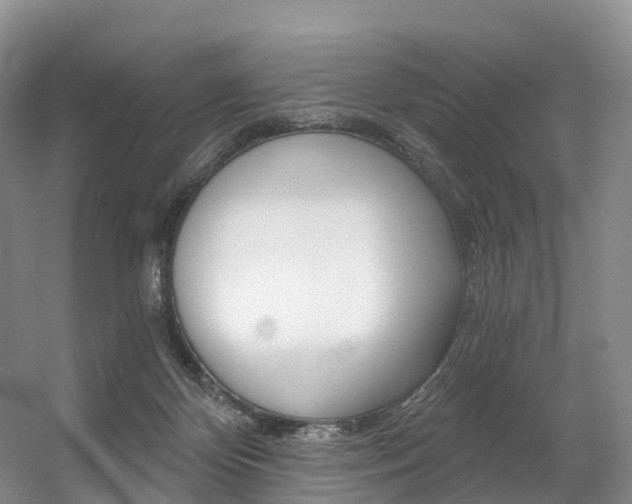 X0000056320124200508260901