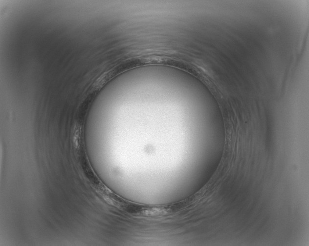 X0000056320125200508260901