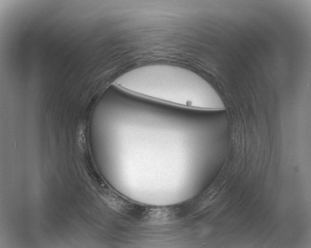 X0000056320127200508260901