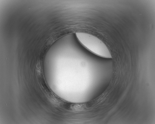 X0000056320129200508260901
