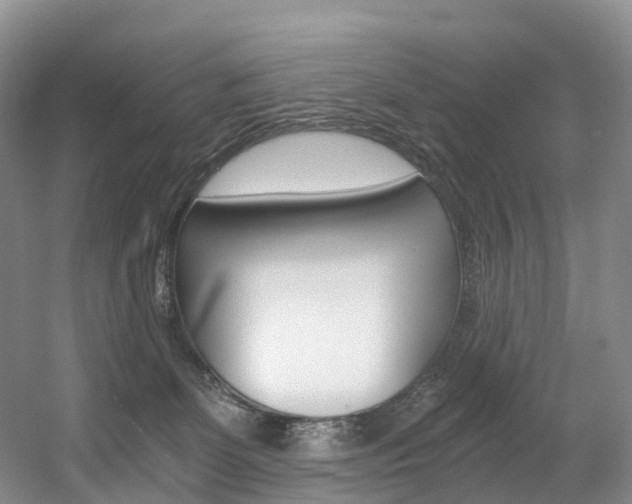 X0000056320131200508260901