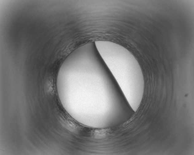 X0000056320134200508260901