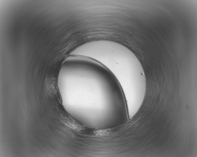 X0000056320141200508260901