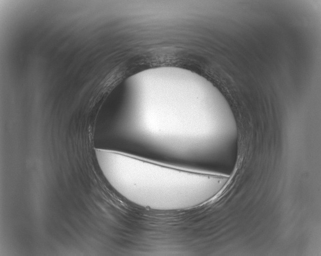 X0000056320144200508260901
