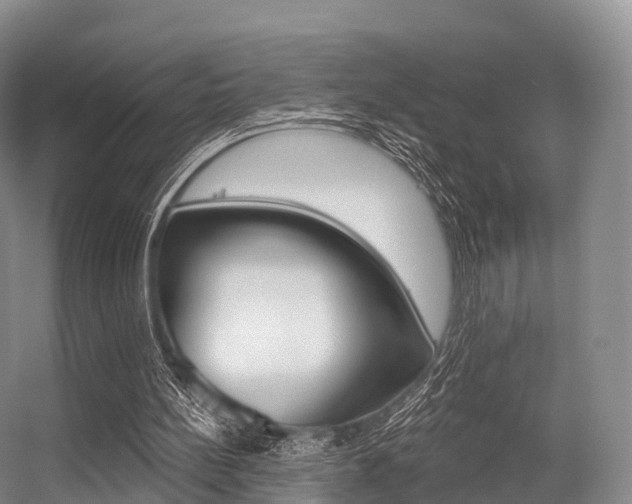 X0000056320148200508260900