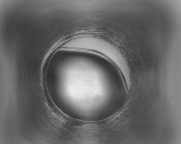 X0000056320150200508260900