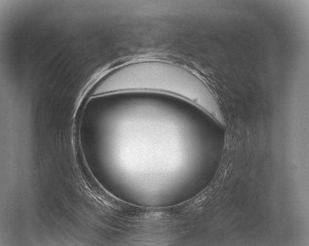 X0000056320152200508260900