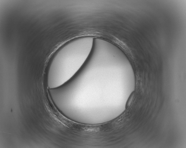 X0000056320155200508260900