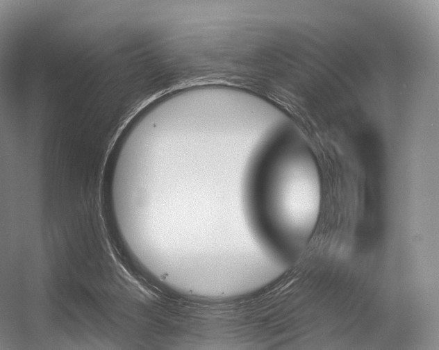 X0000056320156200508260900
