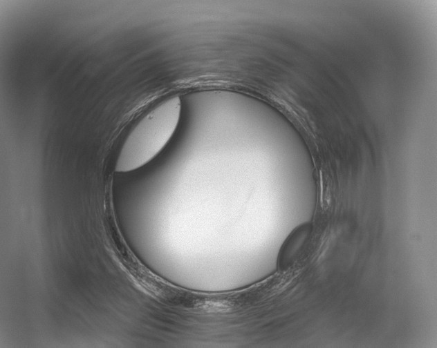 X0000056320157200508260900