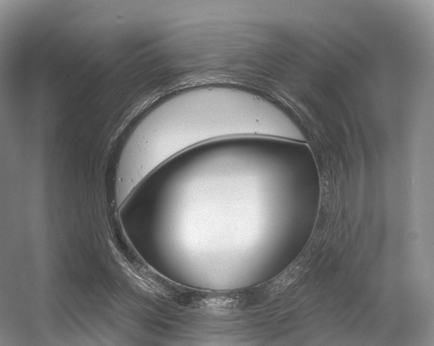 X0000056320158200508260900