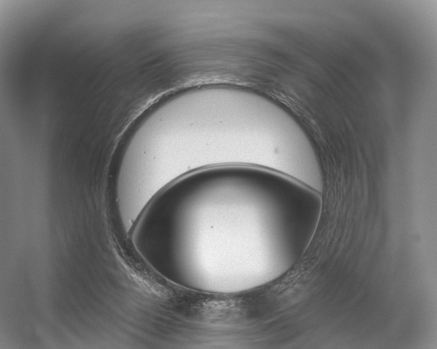 X0000056320160200508260900