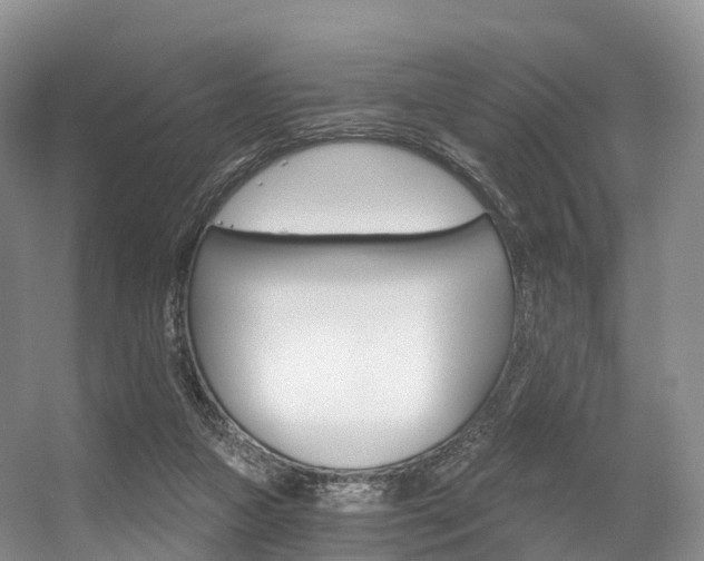 X0000056320161200508260900