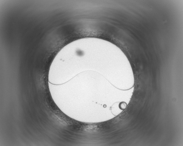 X0000056320162200508260900