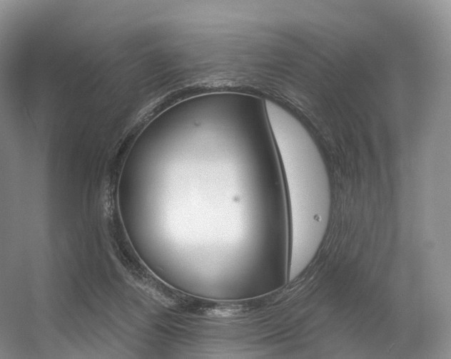 X0000056320164200508260900