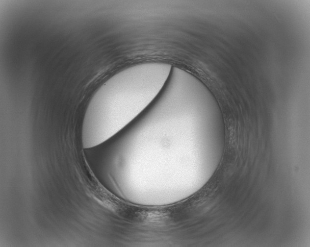 X0000056320165200508260900