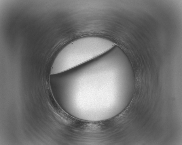 X0000056320166200508260900