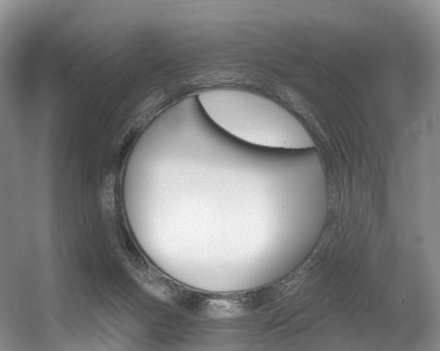 X0000056320167200508260900