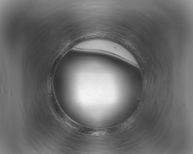 X0000056320168200508260900