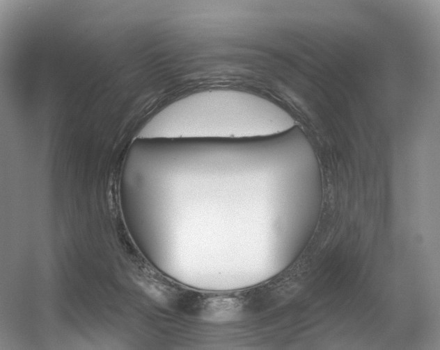 X0000056320169200508260900