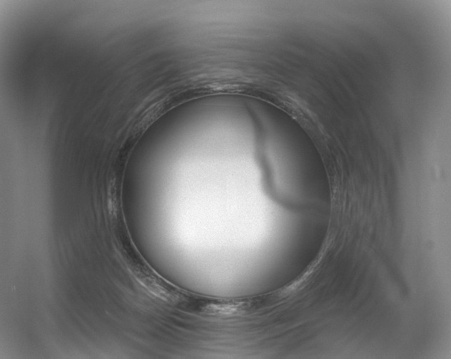 X0000056320170200508260900
