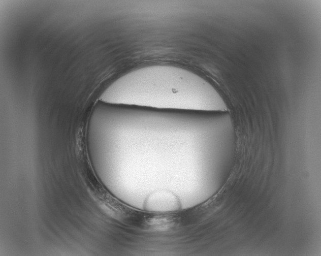 X0000056320171200508260900