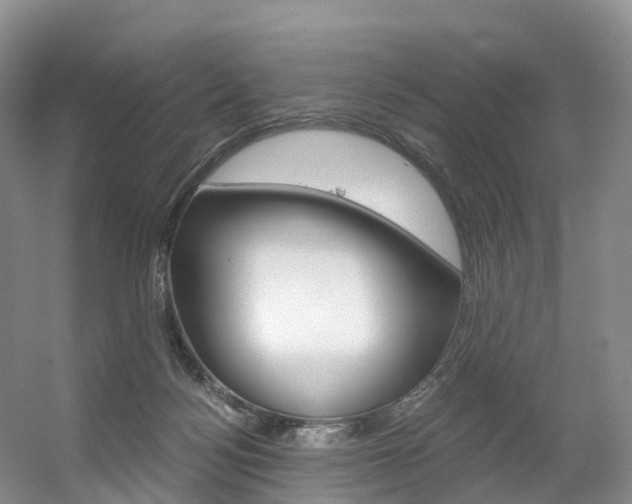 X0000056320172200508260900