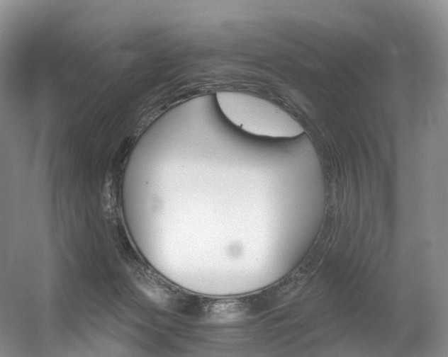 X0000056320173200508260900
