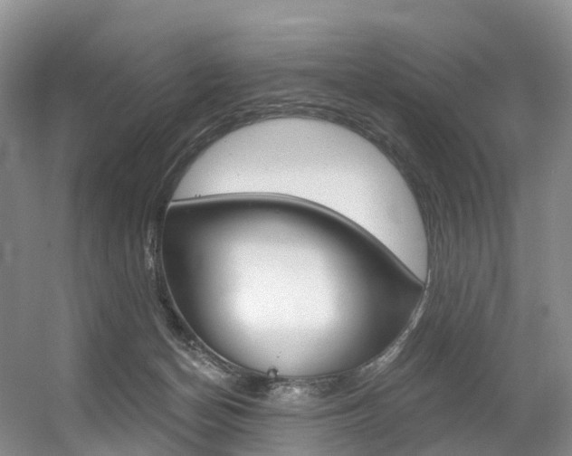 X0000056320174200508260900