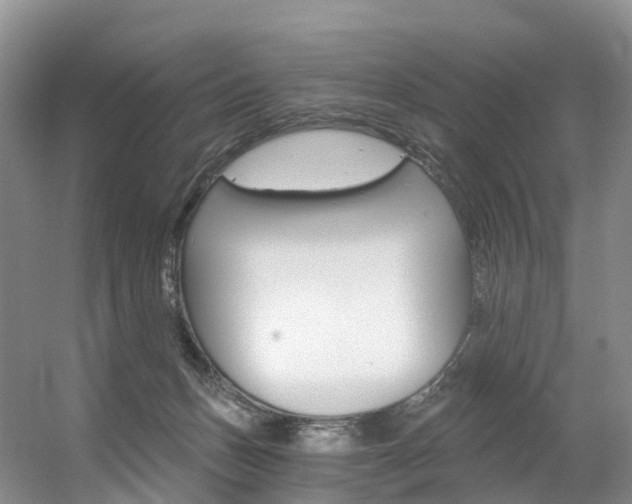 X0000056320175200508260900