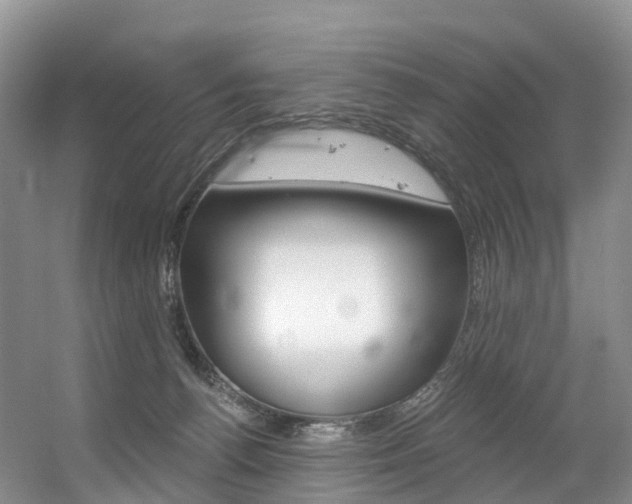 X0000056320176200508260900