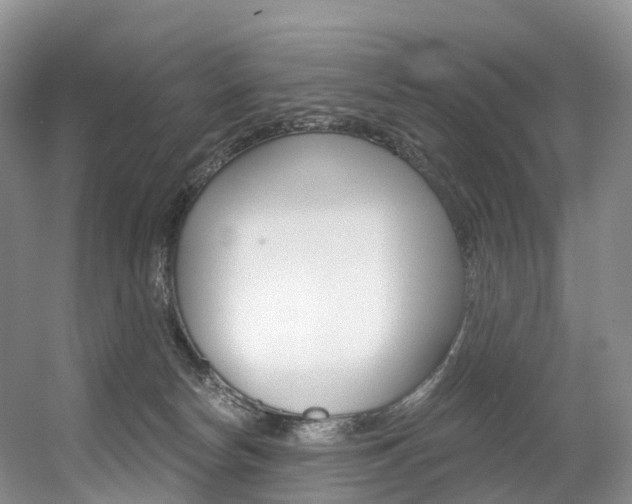 X0000056320178200508260900