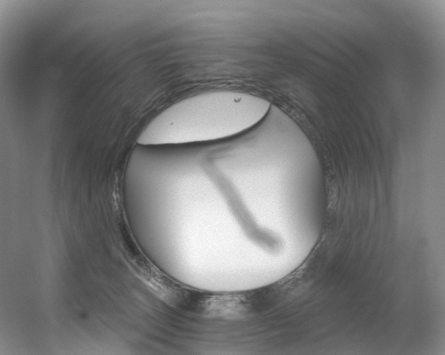 X0000056320179200508260900