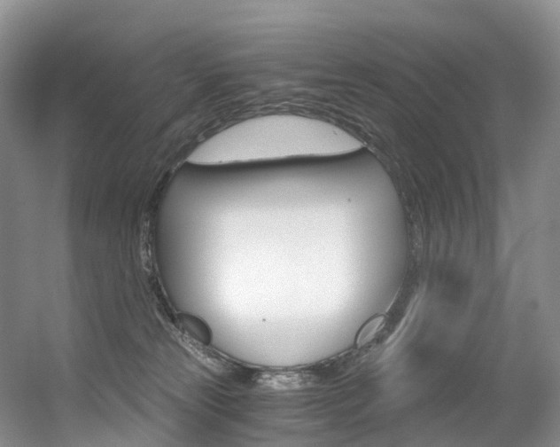 X0000056320181200508260900