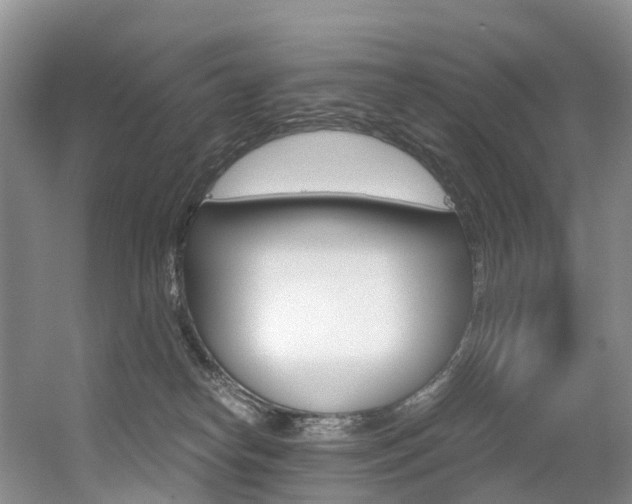 X0000056320182200508260900