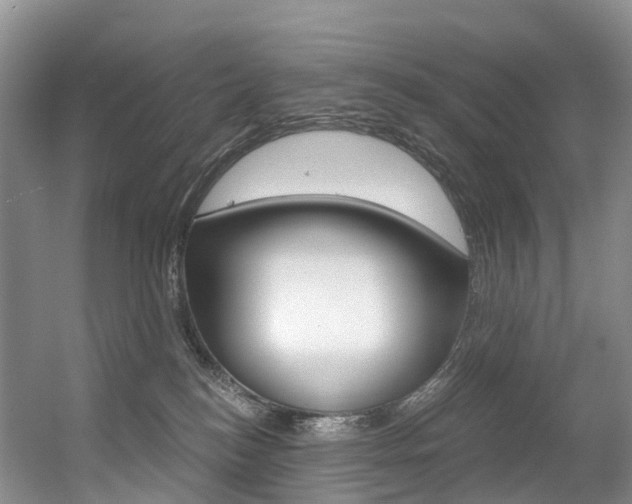 X0000056320184200508260900