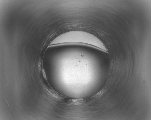 X0000056320188200508260900