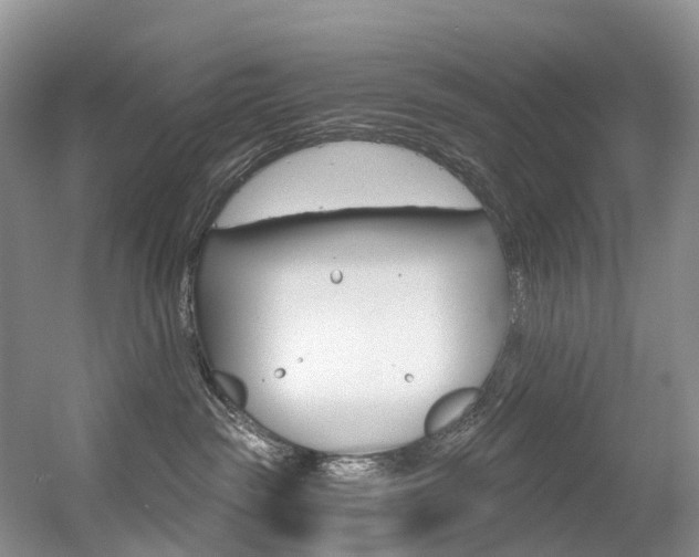 X0000056320189200508260900