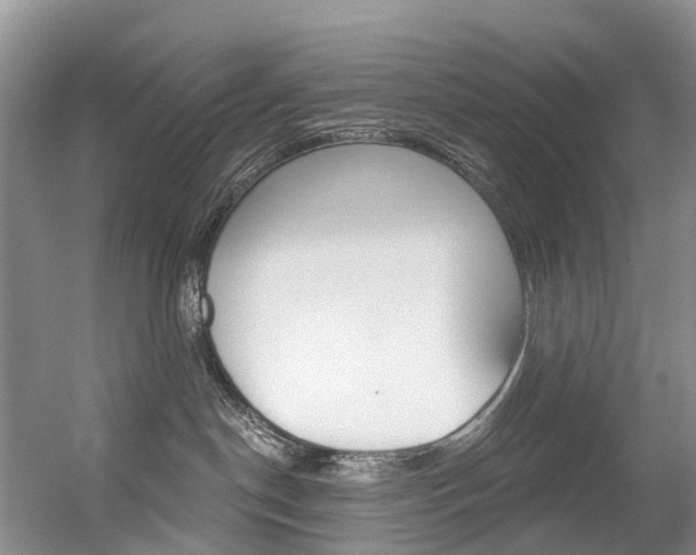 X0000056320190200508260901